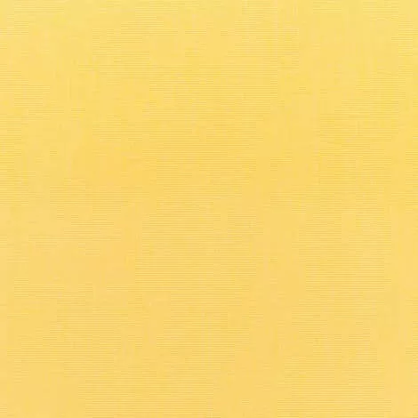 Canvas Buttercup